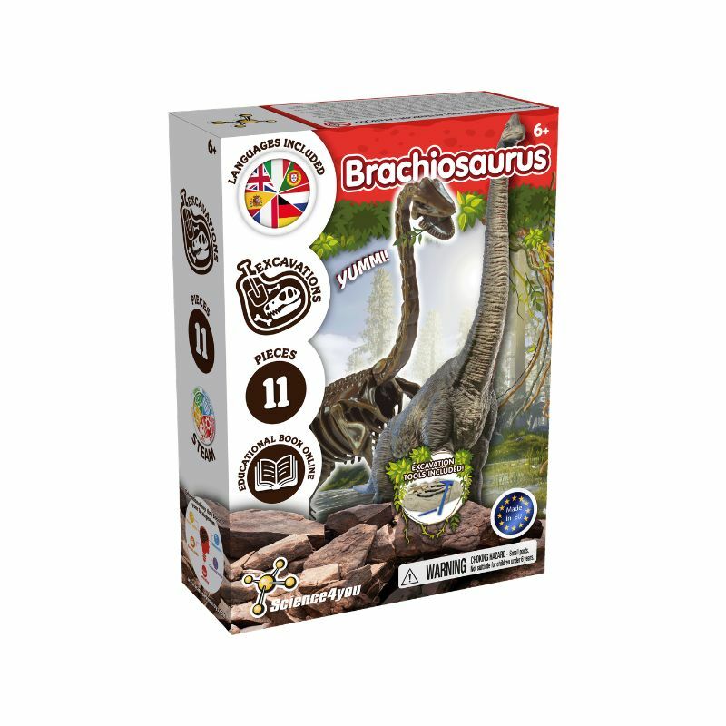 KREATIVNI SET ISKOPAJ FOSIL BRACHIOSAURUS